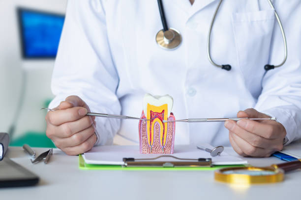 Best Emergency Root Canal Treatment in Benton, IL